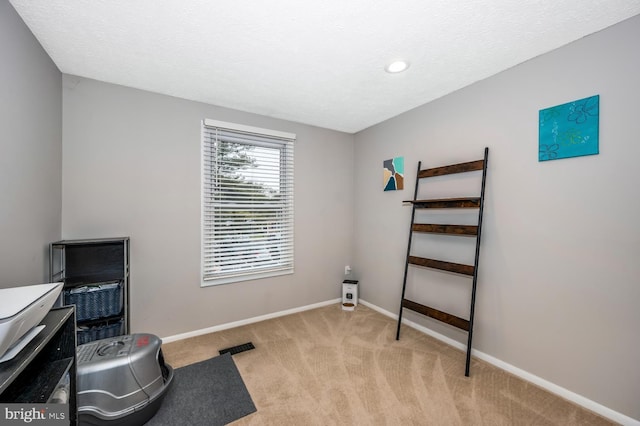 misc room featuring light colored carpet and a textured ceiling