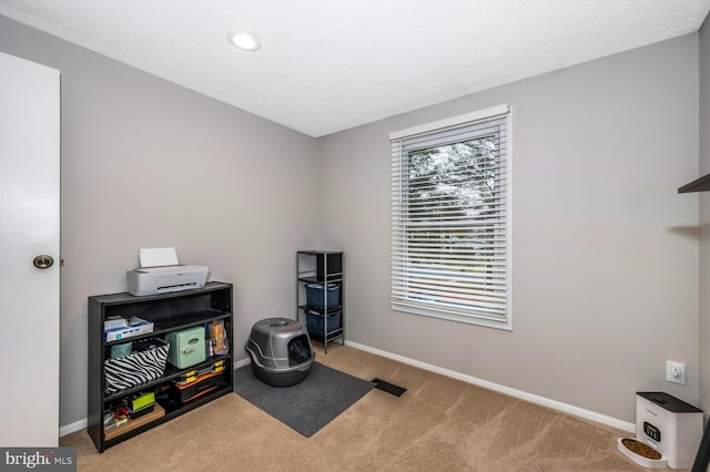 miscellaneous room featuring light colored carpet