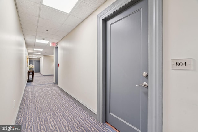 hallway with a drop ceiling and dark colored carpet