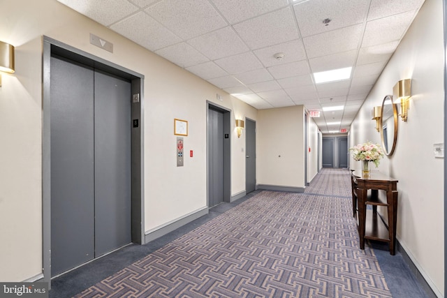 hall featuring elevator, dark carpet, and a drop ceiling