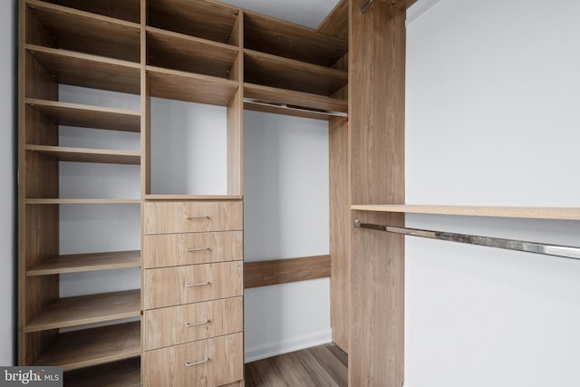 spacious closet featuring dark wood-type flooring