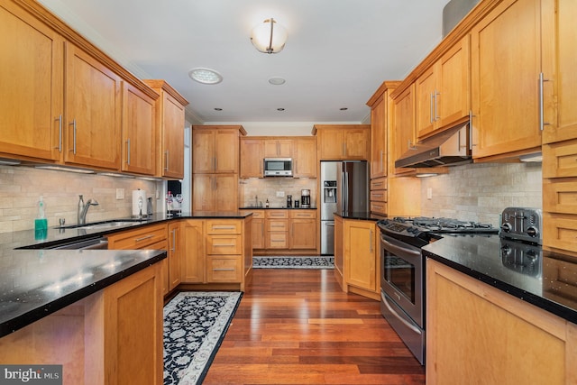 kitchen featuring tasteful backsplash, sink, dark wood-type flooring, and stainless steel appliances