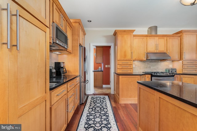 kitchen with tasteful backsplash, dark stone counters, ornamental molding, dark hardwood / wood-style flooring, and stainless steel appliances