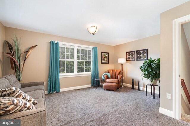 living area featuring carpet floors