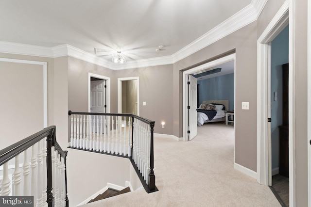 corridor featuring crown molding and light carpet