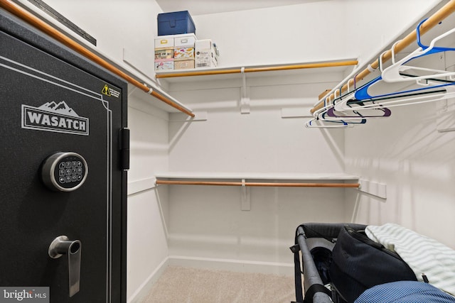 spacious closet featuring light colored carpet