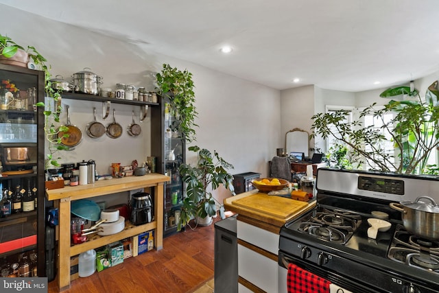 kitchen featuring stainless steel gas range and dark hardwood / wood-style flooring