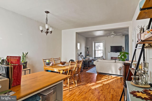 dining space featuring hardwood / wood-style floors and ceiling fan with notable chandelier