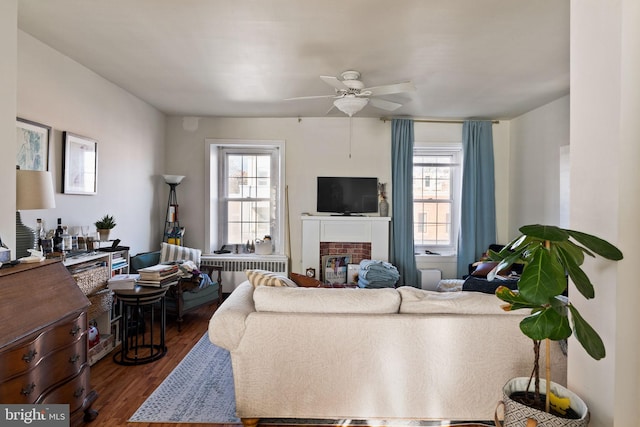 living room with hardwood / wood-style flooring, a healthy amount of sunlight, radiator, and a fireplace