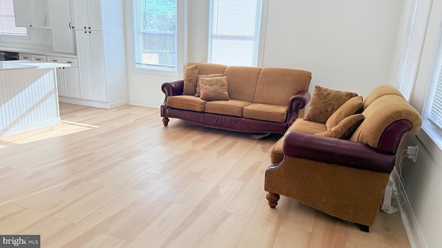 living room featuring light hardwood / wood-style flooring