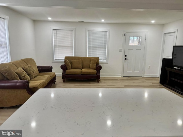 living room featuring light hardwood / wood-style floors