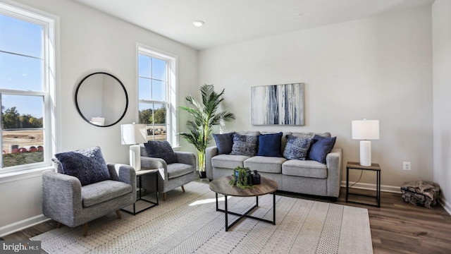 living room featuring wood-type flooring and a healthy amount of sunlight