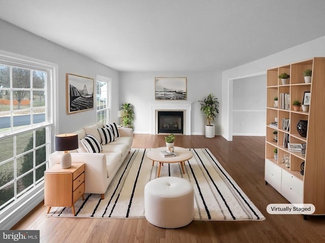 living area featuring a fireplace and wood finished floors