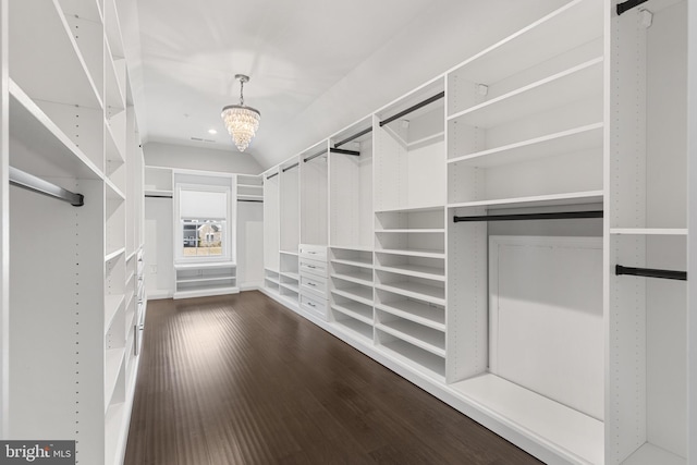 walk in closet featuring an inviting chandelier and dark hardwood / wood-style flooring