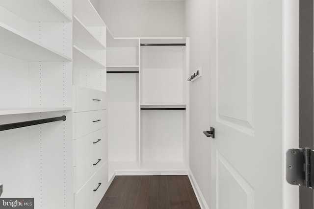 spacious closet with dark wood-type flooring