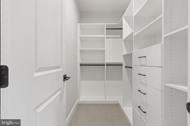 view of spacious closet