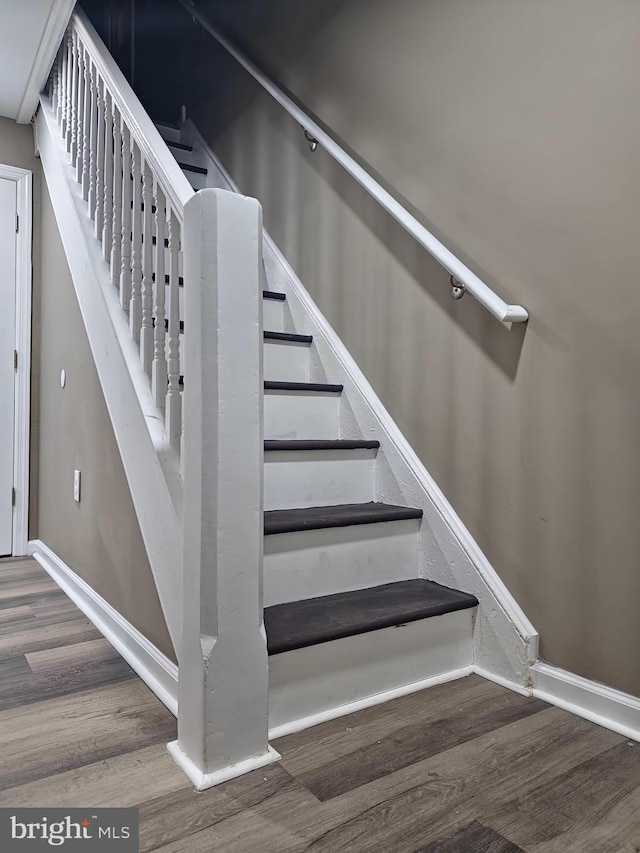 stairway with wood-type flooring