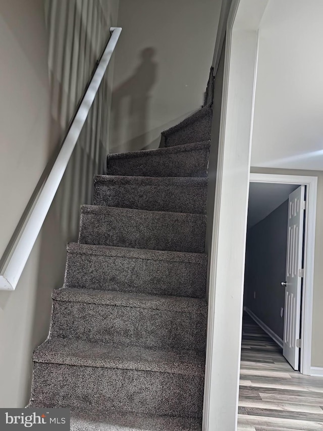 stairway featuring wood-type flooring