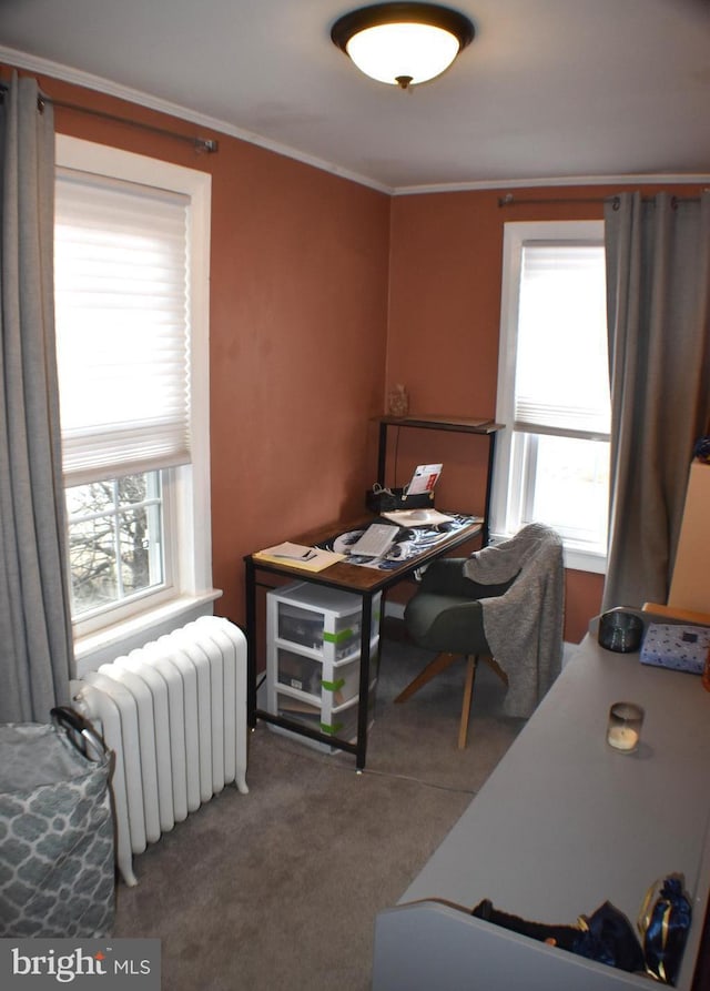 office space featuring radiator, ornamental molding, and carpet flooring