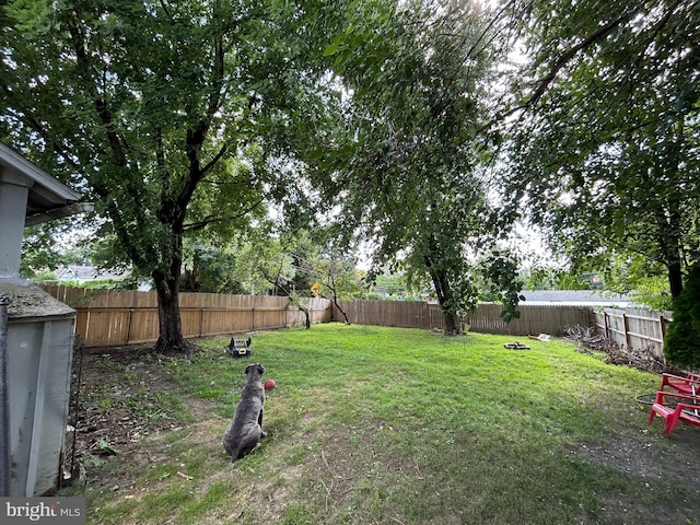 view of yard featuring a fenced backyard