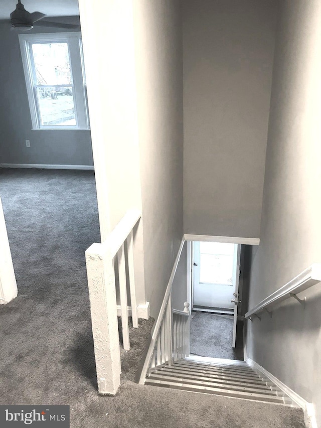 staircase with carpet floors and baseboards