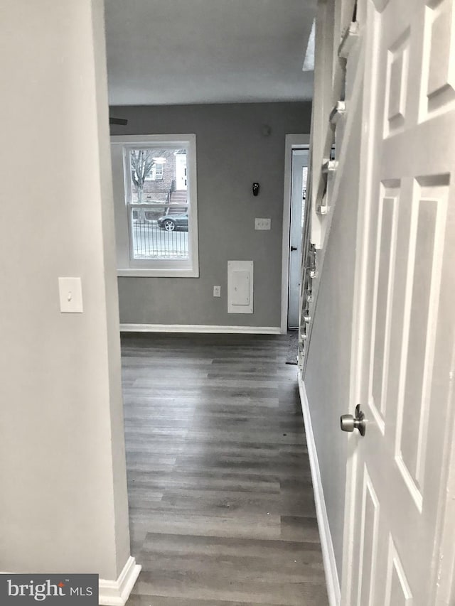 foyer with baseboards and dark wood-style flooring