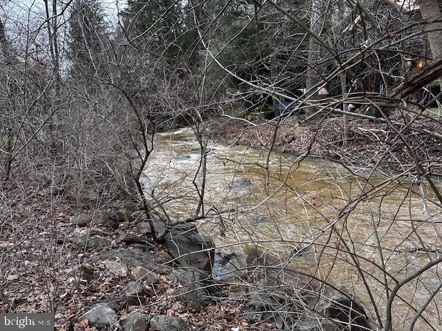 view of local wilderness