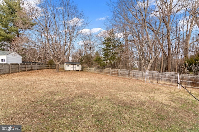 view of yard featuring a storage unit