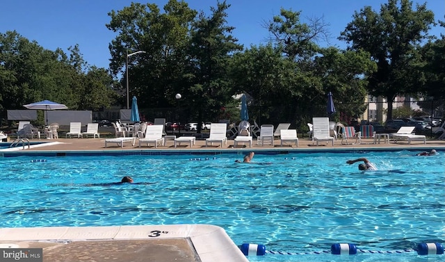 view of pool with a patio