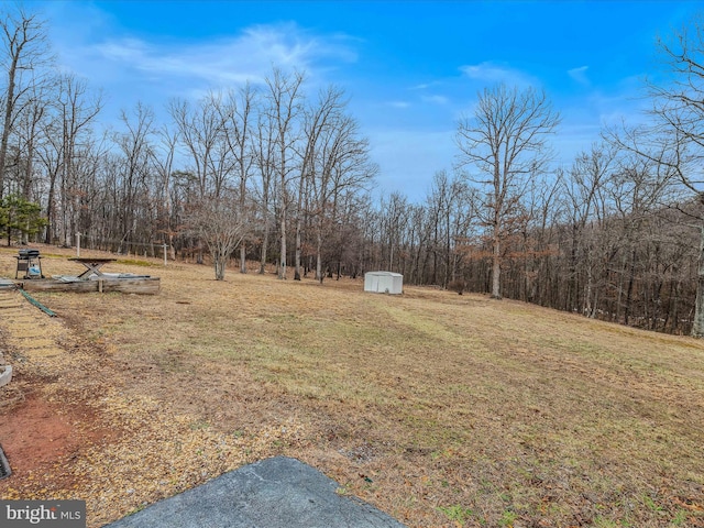 view of yard with a shed