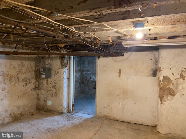 basement with electric panel