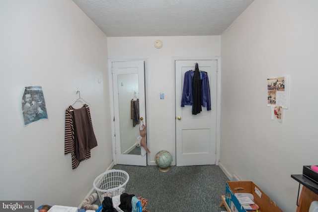 interior space featuring a textured ceiling and carpet flooring