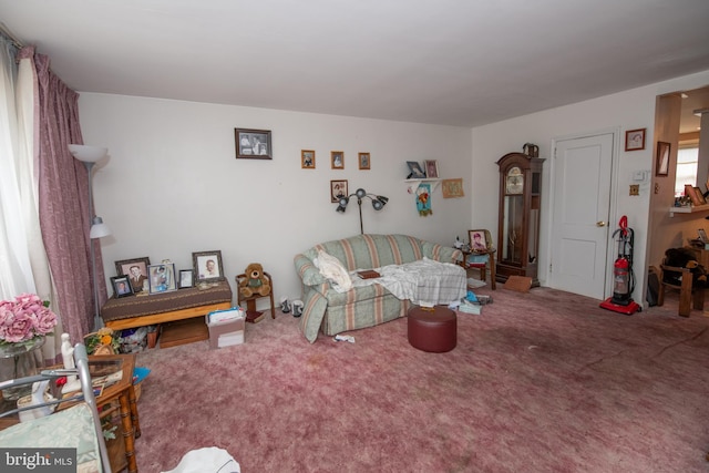 living room featuring carpet floors