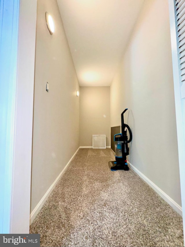 interior space with carpet floors