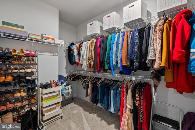 walk in closet featuring carpet flooring