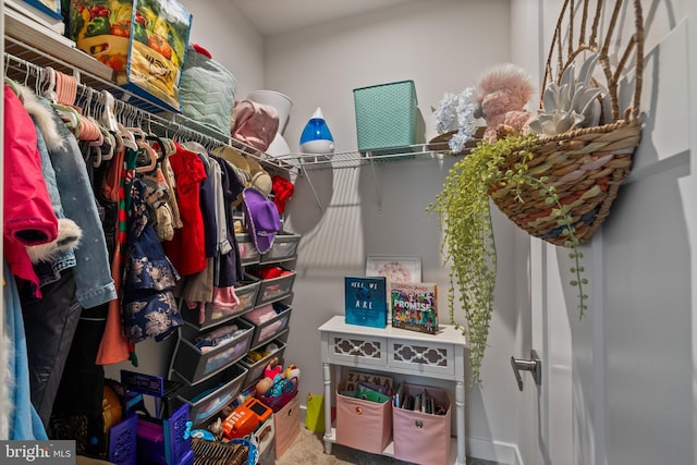 walk in closet featuring carpet floors