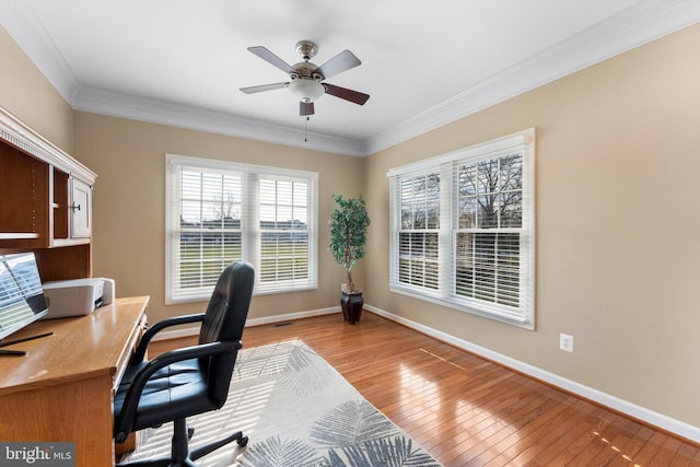 office area featuring crown molding, ceiling fan, and light wood-type flooring