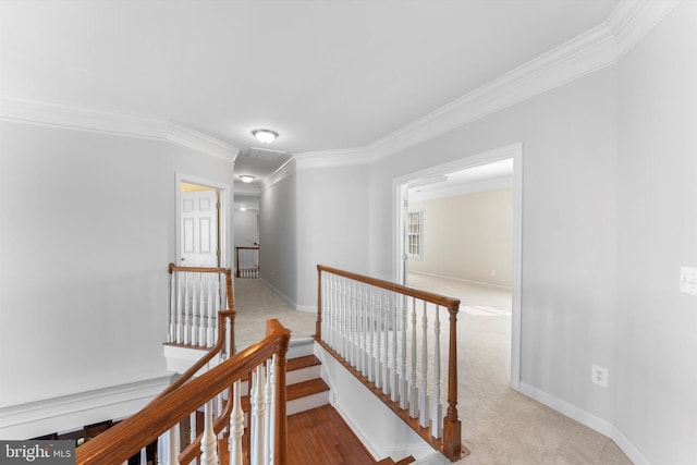 hallway featuring crown molding and carpet