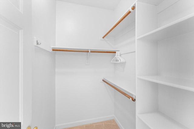 spacious closet with carpet flooring