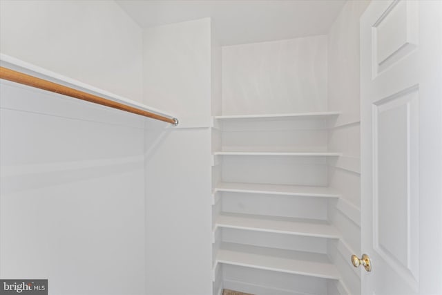 view of walk in closet