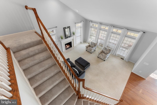 living room featuring plenty of natural light, hardwood / wood-style floors, and high vaulted ceiling