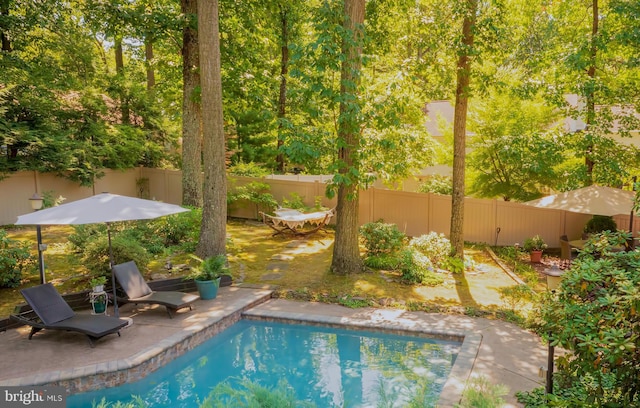 view of swimming pool featuring a patio