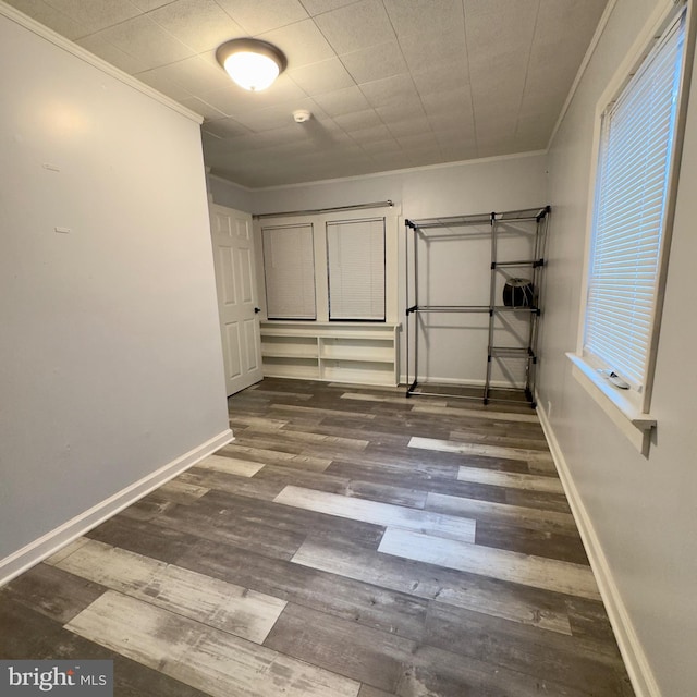 interior space with dark hardwood / wood-style flooring