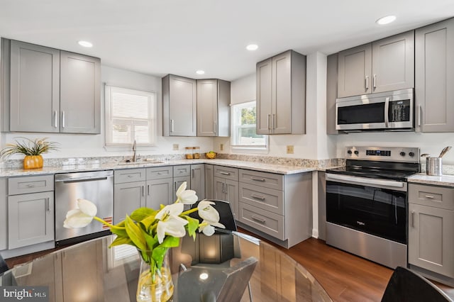 kitchen with gray cabinetry, a sink, dark wood-style floors, recessed lighting, and stainless steel appliances