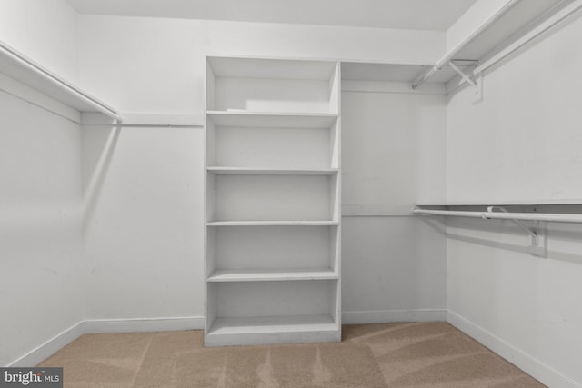 spacious closet featuring light carpet