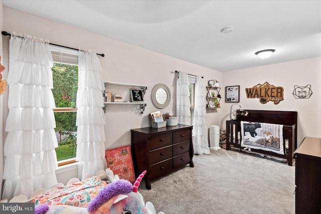 carpeted bedroom with multiple windows