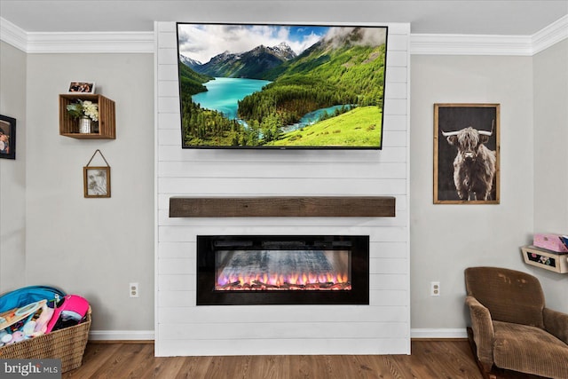 interior details featuring a large fireplace, ornamental molding, and wood-type flooring