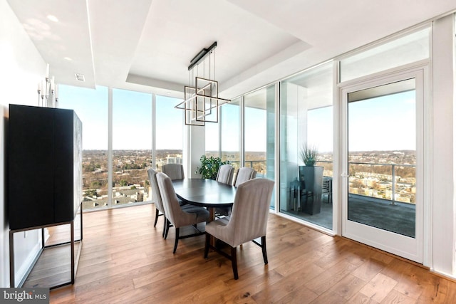 dining room with a raised ceiling, floor to ceiling windows, plenty of natural light, and hardwood / wood-style floors