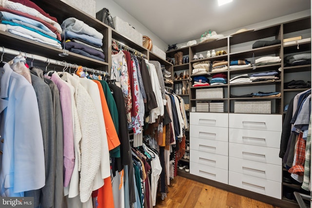 walk in closet with wood-type flooring