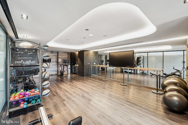 workout area featuring wood-type flooring and a raised ceiling